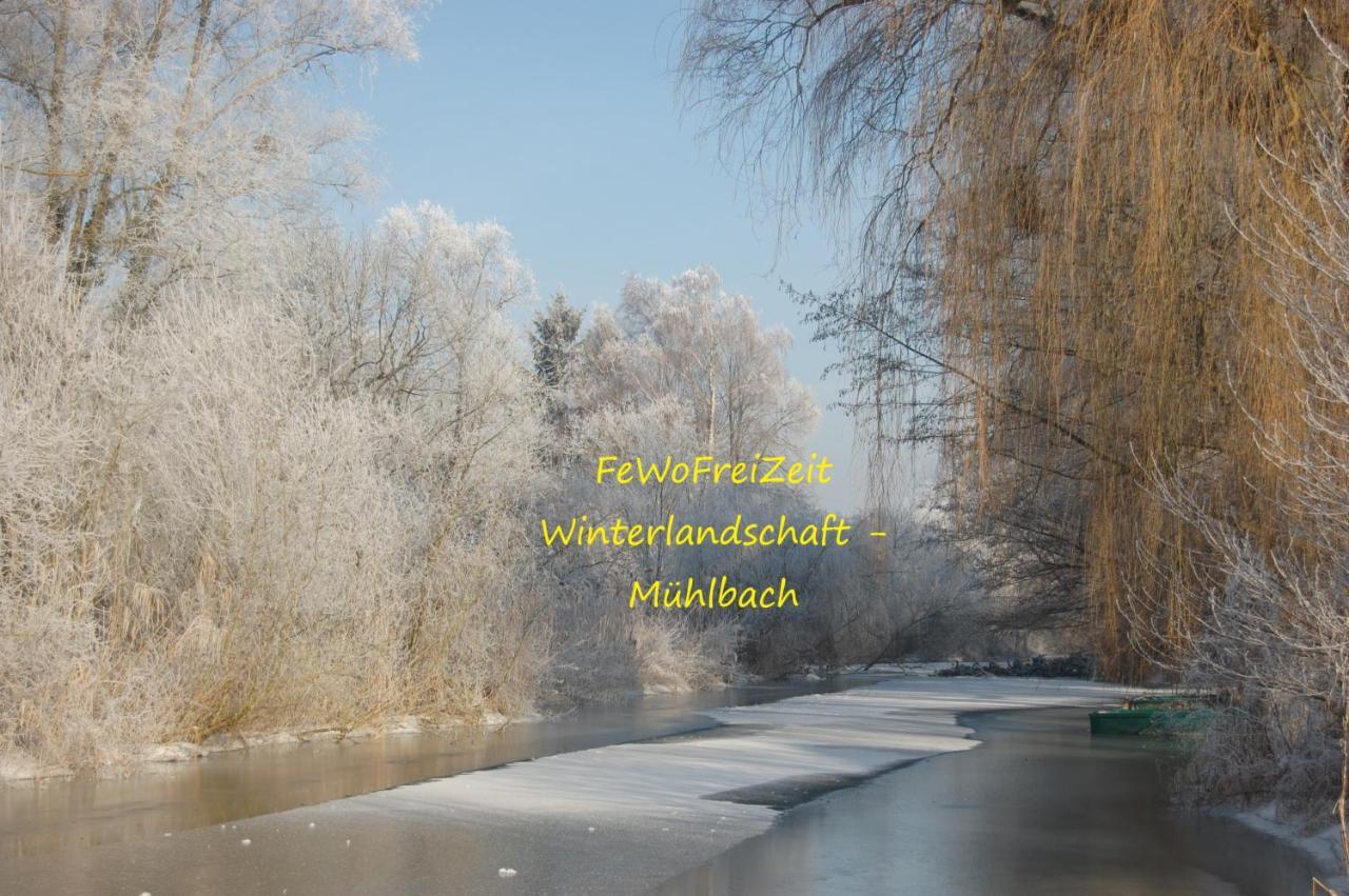 Fewofreizeit Rheinau Zewnętrze zdjęcie